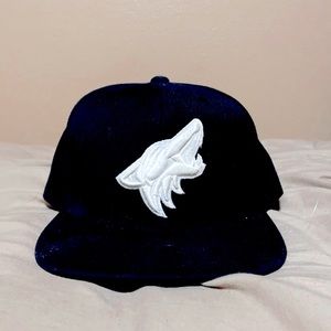 Phoenix coyotes snapback